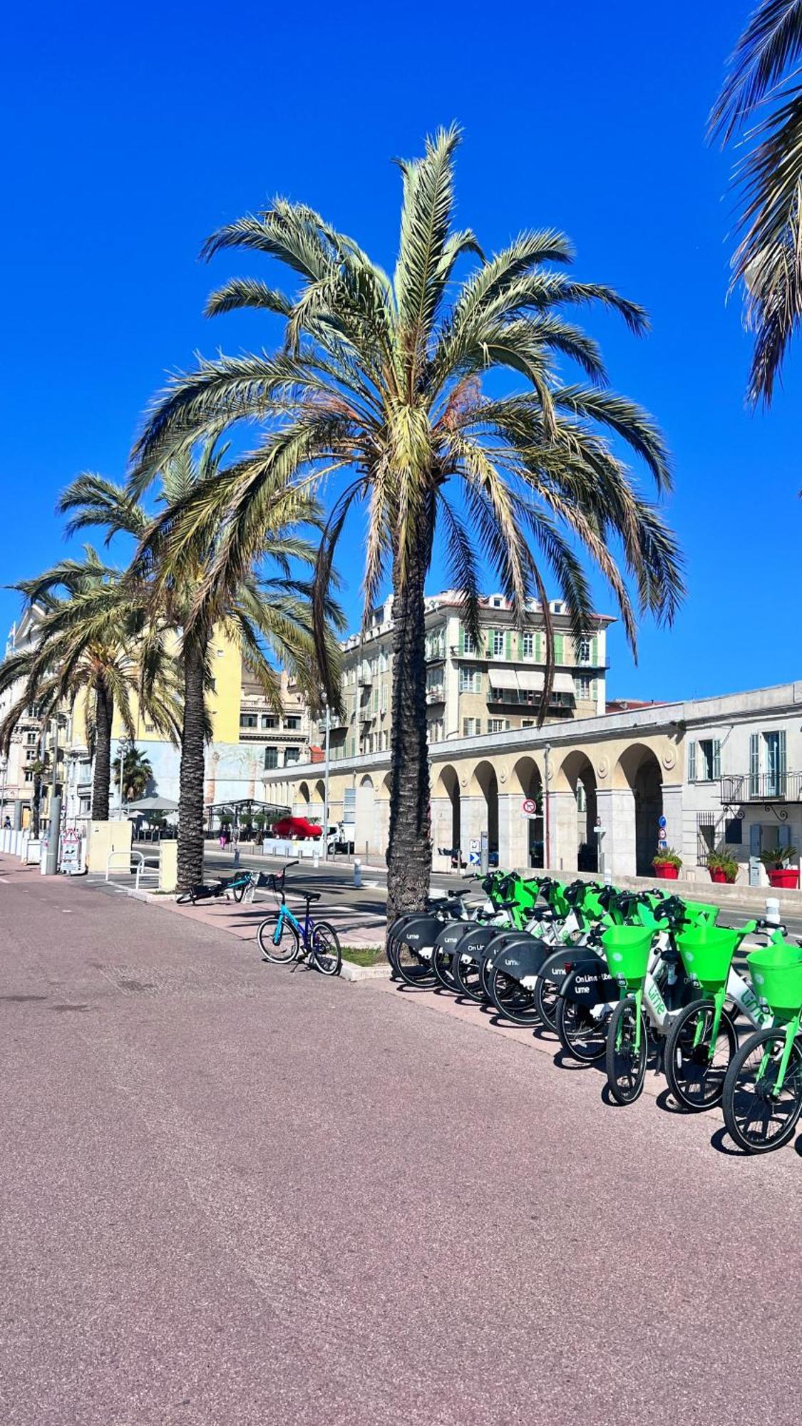 Appartamento L'Opera Nizza Esterno foto